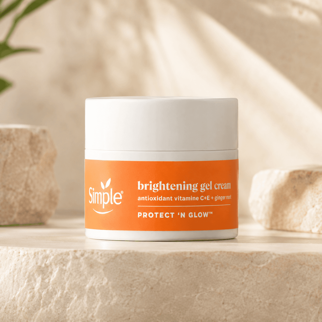 Brightening Gel Cream (50ml)